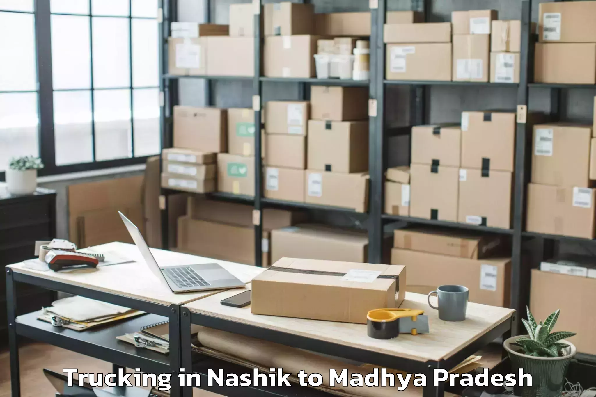 Professional Nashik to Manawar Trucking